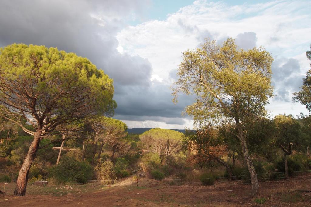 Le Mas Du Rouquan Bed and Breakfast Vidauban Eksteriør billede